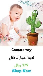 Cactus toy